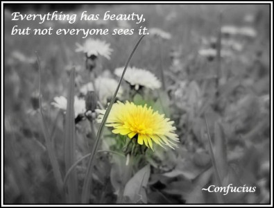 Всё имеет красоту, но не каждый это видит.