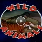  Disney’s Magic English — 20 Wild Animals (Дикие животные) 