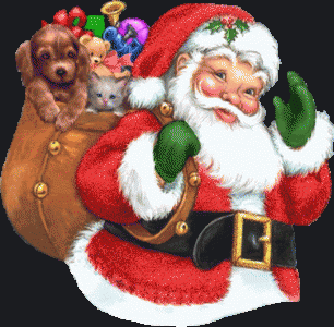 Santa Claus / Санта Клаус