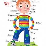 Body parts / Лексика «Части тела» на английском языке с транскрипцией и переводом для детей