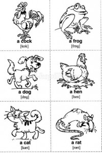 Раскраски "Животные" на английском языке